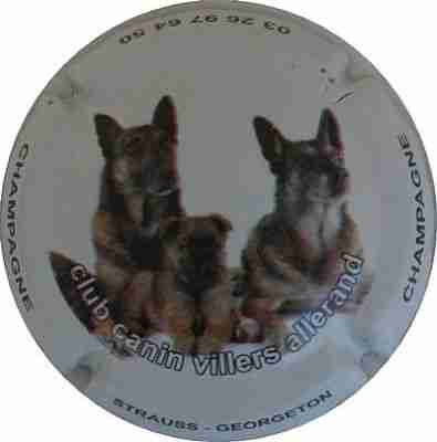 N°10b Jéroboam, 3 bergers allemands. Club Canin Villers Allerand
Photo Jacques
