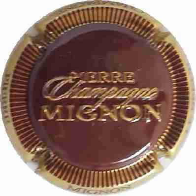 N°100n Marron foncé, stries or, Champagne or
Photo Jean-Christian HENNERON
