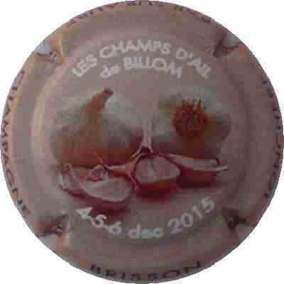 N°046b Les Champs d'Ail de Billom, inscription blanche en haut
Photo Mary LABBE
