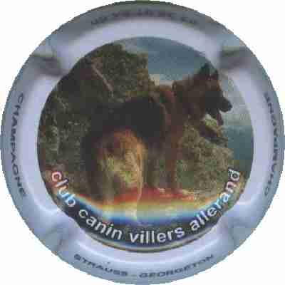 N°04 1 berger allemand. Club Canin Villers Allerand
Image Yves STEFANI

