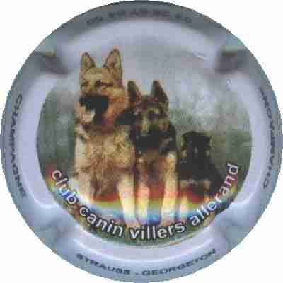 N°04.a 2 bergers allemands. Club Canin Villers Allerand
Image Yves STEFANI
