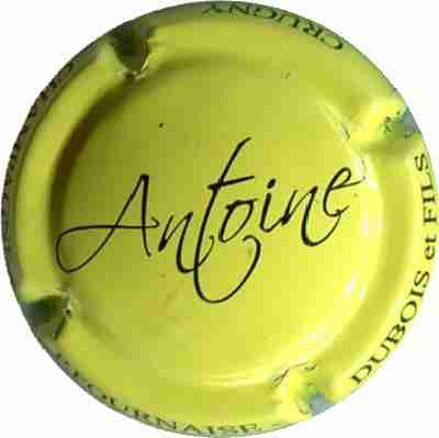 N°04b Cuvée Antoine, vert jaune et noir
Image Yves STEFANI

