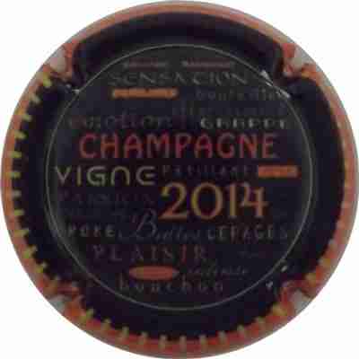N°0903a Champagne 2014, Noir, contour orange
Photo COSSEMENT René
