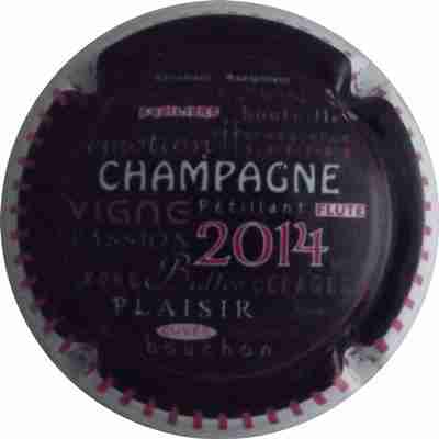 N°0903b Champagne 2014, Noir, contour blanc
Photo COSSEMENT René
