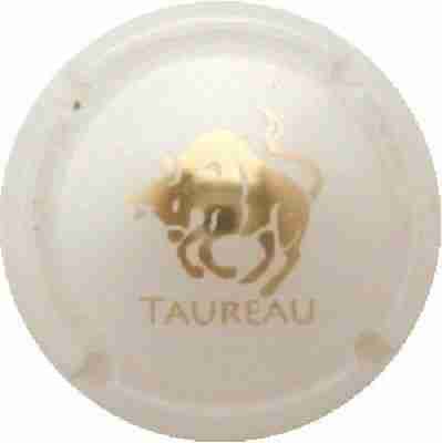 C20 Taureau, Opalis blanc et or
Photo J.R.
