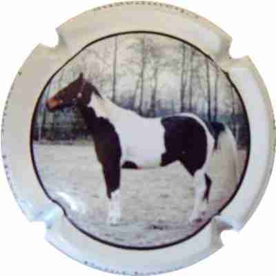 N°18 Paint horse
Photo SIMONNOT Jean-Joseph

