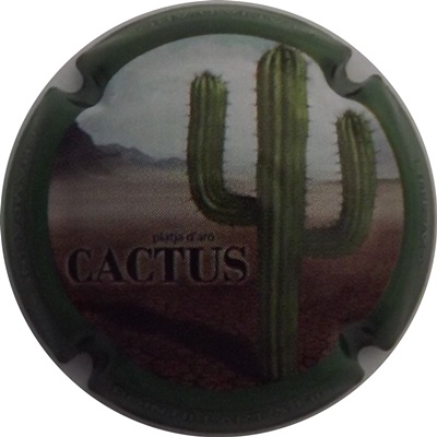 N°21 Cactus 1, Contour vert foncé
Photo René COSSEMENT
