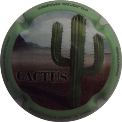 N°21 Cactus 1, Contour vert pâle
Photo René COSSEMENT
