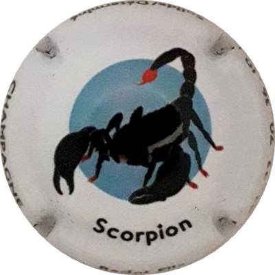N°05g Scorpion
Photo Martine PUPIN
