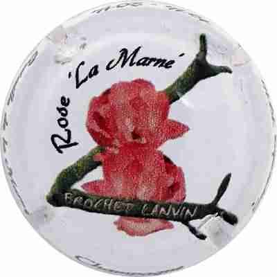 N°01x-NR Rose La Marne, fond blanc, fleurs rouges, inscription Champagne Septembre 1914-1914-2014-Bataille de la Marne sur le contour
Photo Martine PUPIN
Mots-clés: NR
