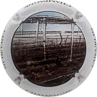 N°18 Vignes l'hiver, Polychrome, Contour blanc
Photo Martine PUPIN

