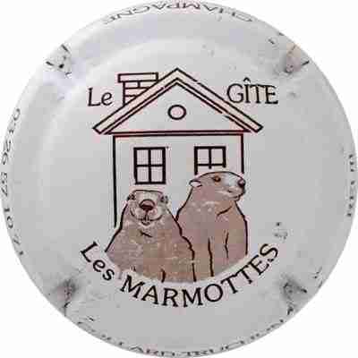 N°38b  Les Marmottes
Photo Martine PUPIN
