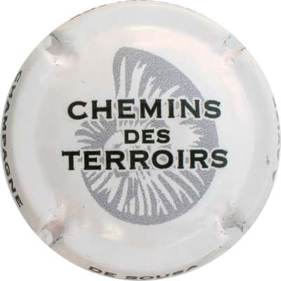 N°32 CHEMINS DES TERROIRS, Blanc et noir, ammonite grise
Photo Bernard DUQUENNE
