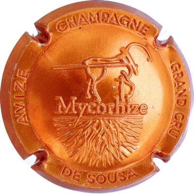 N°30b Cuvée Mycorhize, Estampée cuivre
Photo Bernard DUQUENNE
