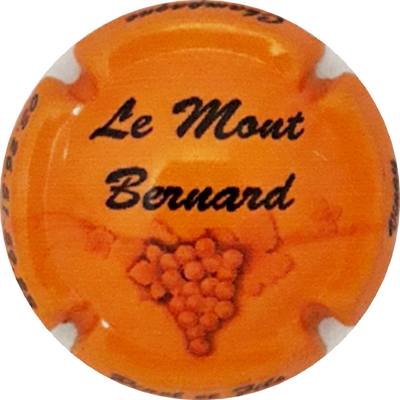 N°01 Le Mont Bernard, Orange et noir
Photo Martine PUPIN
