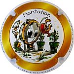 COLLECTION_P_TIT_CAP_S_1-6_Plantation.jpg