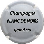 DE_SOUSA___FILS_NR_BLANC_DE_NOIR_grand_cru.JPG