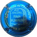 FLINIAUX_REGIS_Ndeg58x-NR_Bleu_metallise_et_metal2C_Route_du_Champagne.JPG
