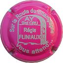 FLINIAUX_REGIS_Ndeg58x-NR_Fushia_et_blanc2C_Route_du_Champagne.JPG