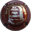 FLINIAUX_REGIS_Ndeg58x-NR_Marron_et_metal2C_Route_du_Champagne.JPG