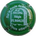FLINIAUX_REGIS_Ndeg58x-NR_Vert_et_blanc2C_Route_du_Champagne.JPG