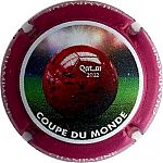 QUATAR_COUPE_DU_MONDE_2022_Ballon_coupe.jpg