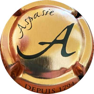 N°09e Cuivre et noir
Photo MH Millot
