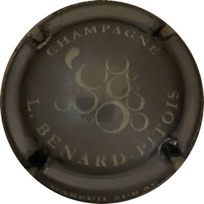 N°10f Gris et blanc
Photo MH Millot
