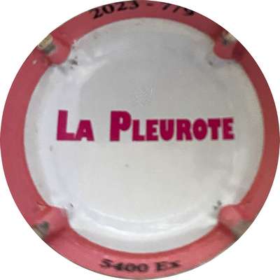 N°179f verso: La Pleurote
Photo MH Millot
