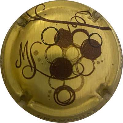 N°NR Grappe, or et marron
Photo MH Millot
