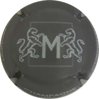 N°14h Gris et blanc
Photo MH Millot
