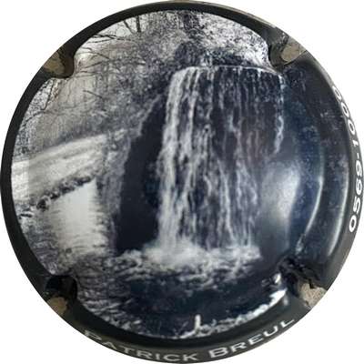 N°137b Bourse d'échanges 2021, cascade de près, contour noir
Photo MH Millot
