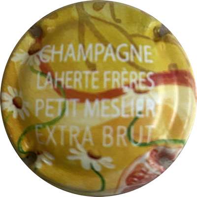 N°14e Petit Meslier Extra Brut
Photo MH Millot
