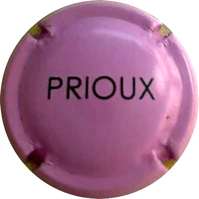 N°16b Rose et noir
Photo MH Millot
