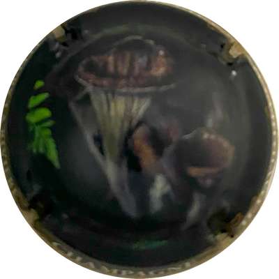 N°179e Série de 9 (Champignons), contour noir, La Trompette de la mort,2023-6/9, 5400 exemplaires
Photo MH Millot
