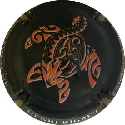 N°18a Tortue, noir et orange
Photo MH Millot
