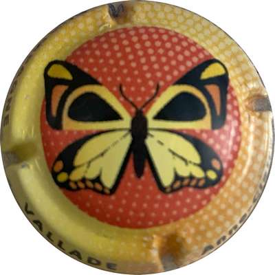 N°10b Papillon, contour orange
Photo MILLOT
