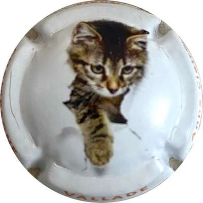 N°16 Série de 6, Chat, lettres orange sur contour
Photo MH Millot
