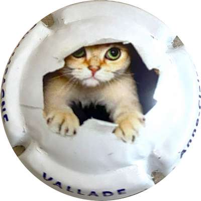 N°16a Série de 6, Chat, lettres bleu foncé sur contour
Photo MH Millot
