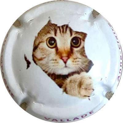 N°16b Série de 6, Chat, lettres violette sur contour
Photo MH Millot
