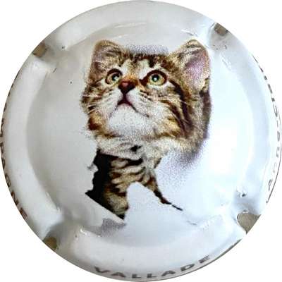 N°16c Série de 6, Chat, lettres marron sur contour
Photo MH Millot
