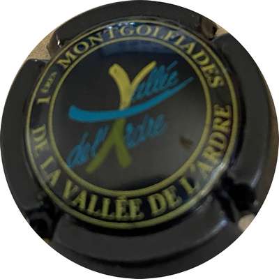 _ H8708b 1ères montgolfiades, fond bleu métallisé
Photo MH Millot
