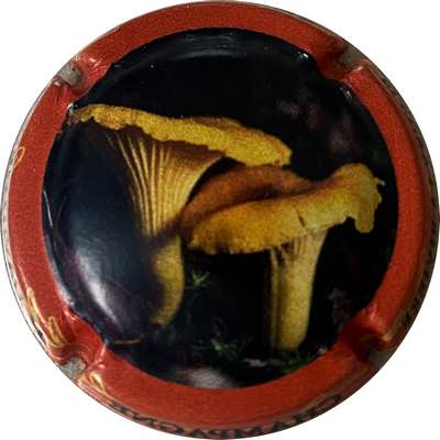 N°179 Contour orange, au verso : La Girolle, 2023-1/9, 5400 exemplaires
Photo MH Millot
