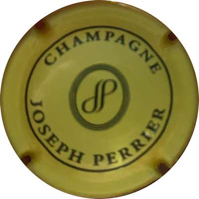 N°89h Jaune pâle et noir, cercles centraux rapprochés
Photo MH Millot
