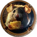 NdegNR_Serie_souris_20252C_contour_marron_clair.jpg