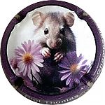 NdegNR_Serie_souris_20252C_contour_violet.jpg