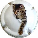 Nom du fichier=VALLADE_ET_FILLES_Ndeg_16d_Serie_chat2C_lettres_verte_sur_contour.jpg
Taille du fichier=12Ko
Dimensions : 400x400
Ajouté le : 17 Juin 2025 VALLADE_ET_FILLES_Ndeg_16d_Serie_chat2C_lettres_verte_sur_contour.jpg