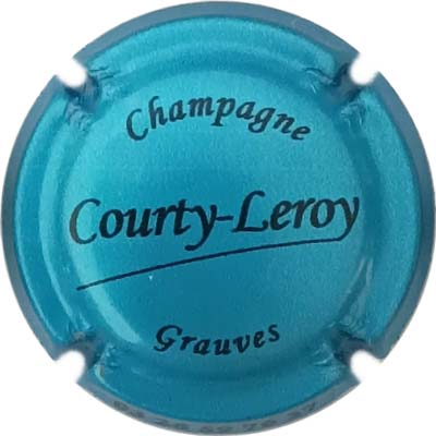 N°100b Bleu métallisé et noir
Photo René COSSEMENT
