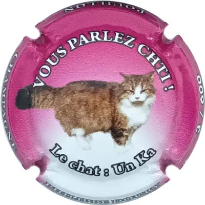 N°101i Le chat, N°XXX-600
Photo René COSSEMENT
