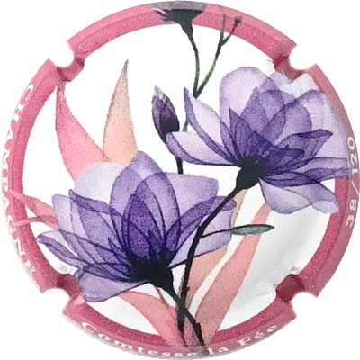 N°114 Contour lie de vin, N°XXX-120
Photo René COSSEMENT
